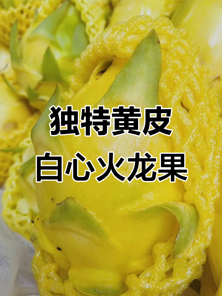 黄皮白心火龙果,外黄内白的奇妙口感