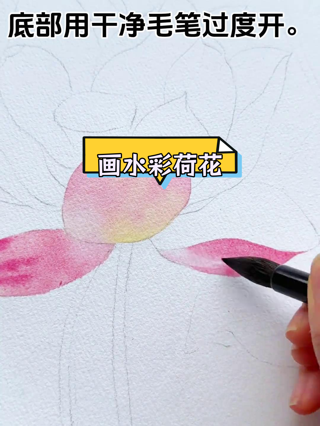 水彩荷花绘制技巧教程