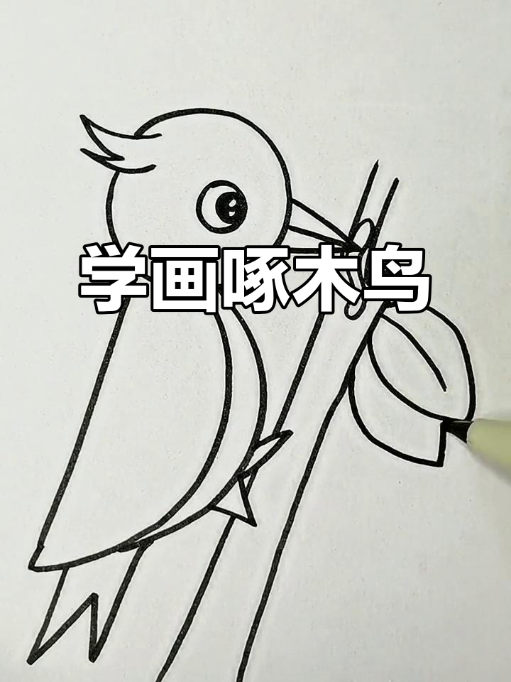 轻松学画可爱啄木鸟,简单步骤教你画出栩栩如生的鸟儿