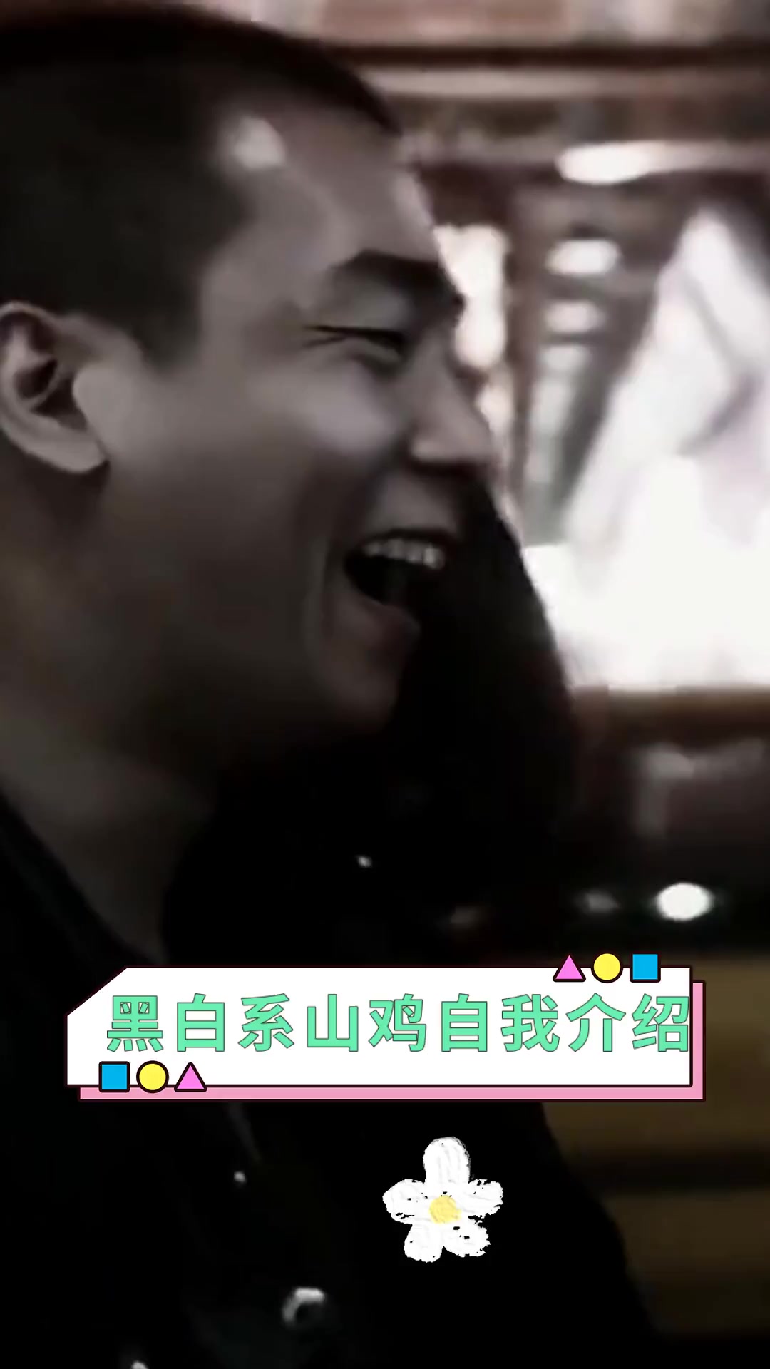 黑白系山鸡自我介绍