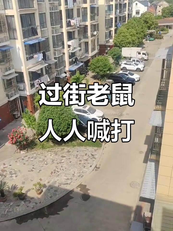 既不知羞,也不知足的过街老鼠