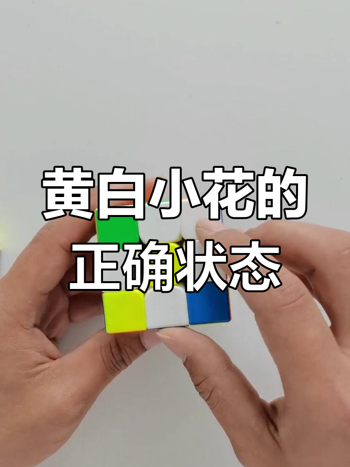 三阶魔方黄白小花标准解析,轻松掌握入门技巧