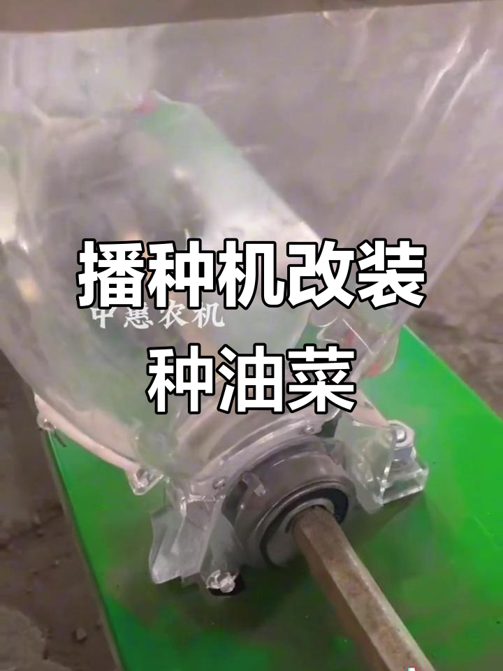 小麦玉米油葵播种机改装,油菜种植更轻松