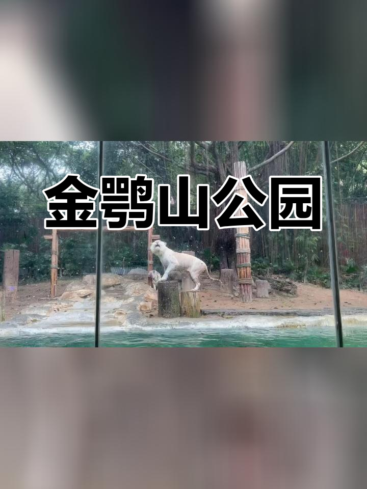 岳阳金鹗山动物园图片