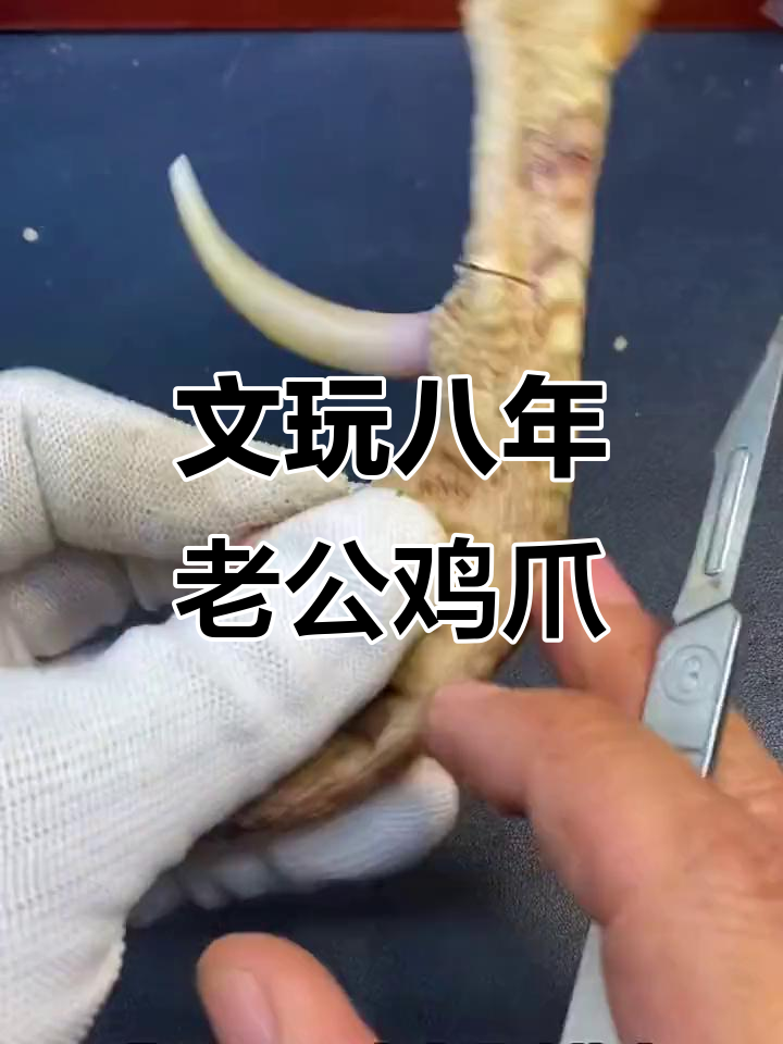 八年老公鸡爪骨,国庆节特供文玩珍品
