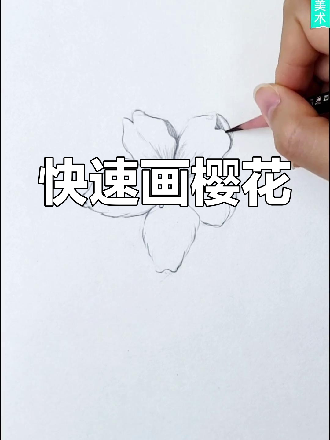 一分钟学会樱花素描,春天来临!