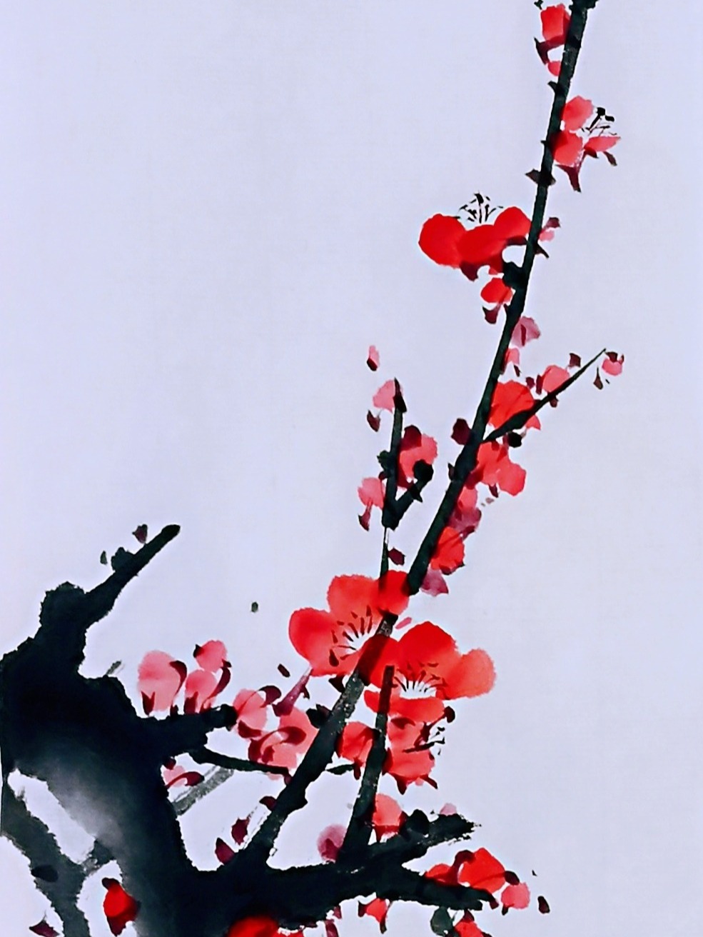 国画写意梅花画法教程,0基础1分钟入门