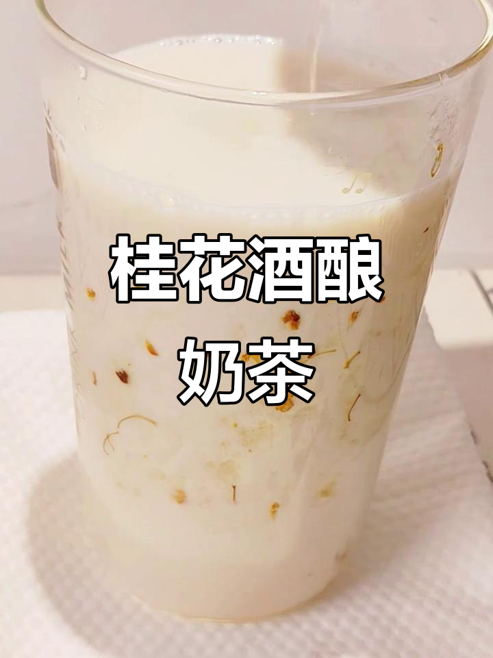 自制桂花酒酿奶茶,简单又美味,告别外购!