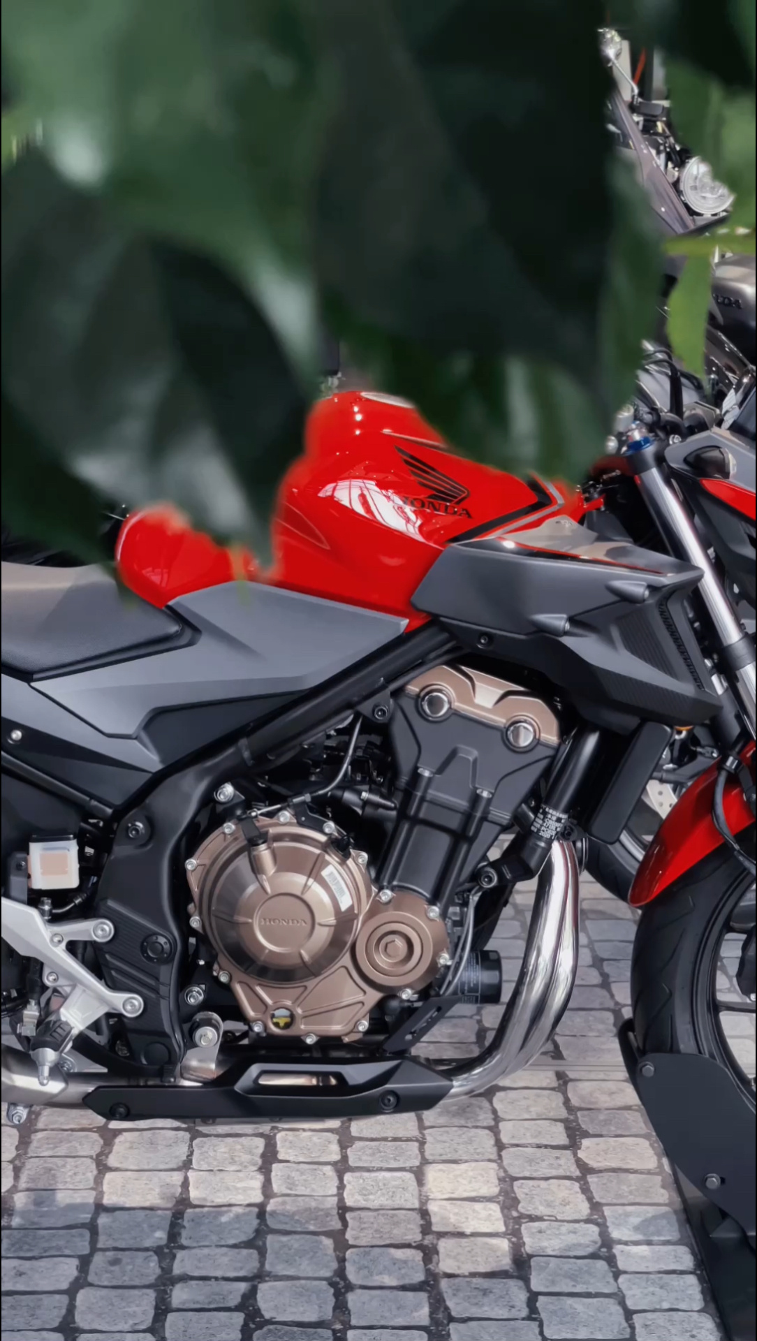 本田cb500f 骑士型格 从心释放