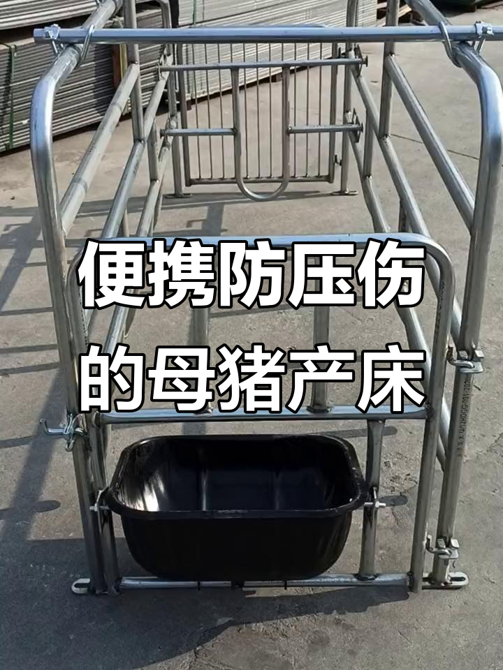落地式母猪产床,拆卸方便又安全