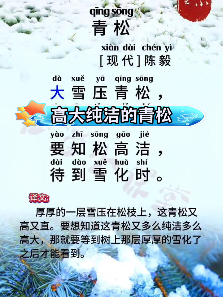 雪松的拼音图片