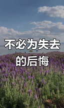 失去的从未真正属于你，不必为它后悔