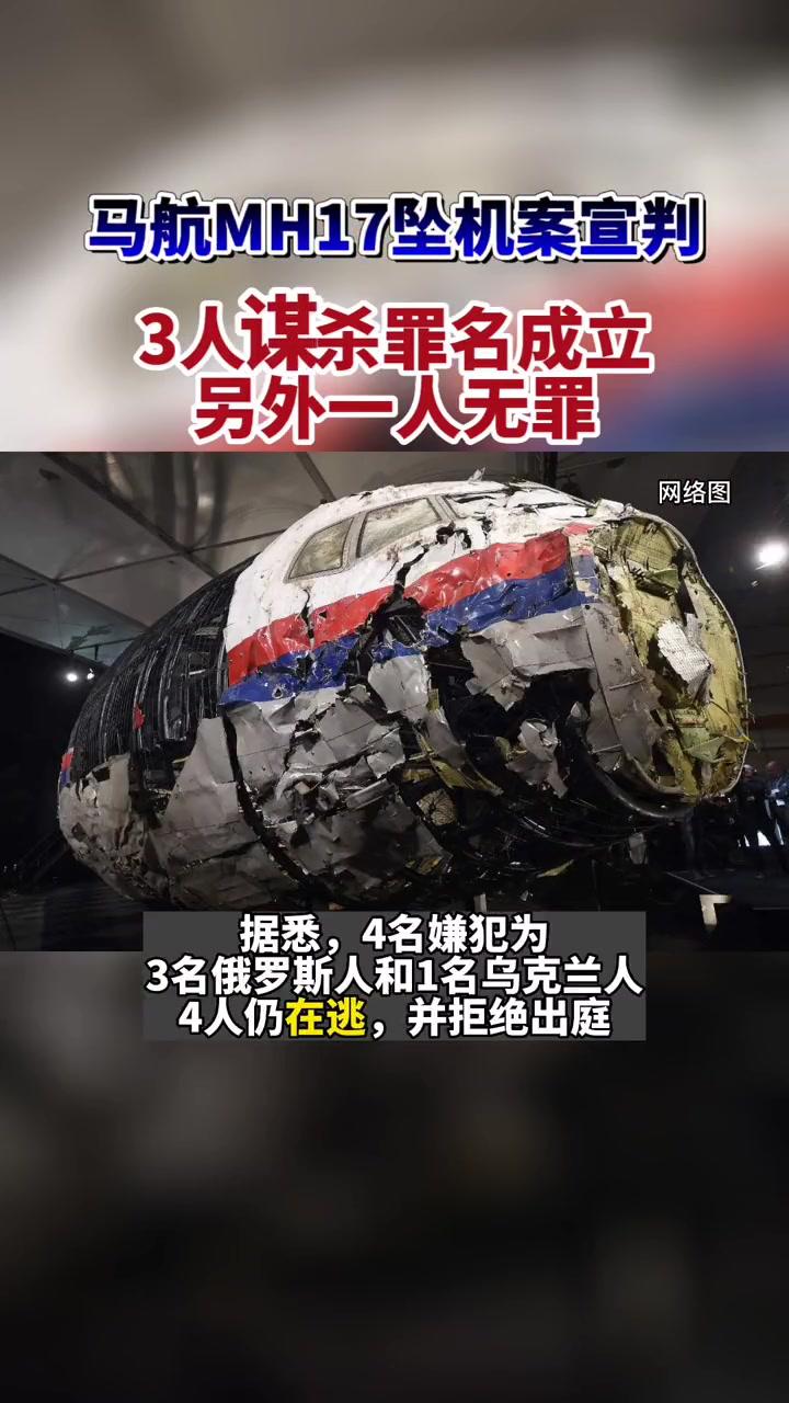 马航mh17遇难者图片