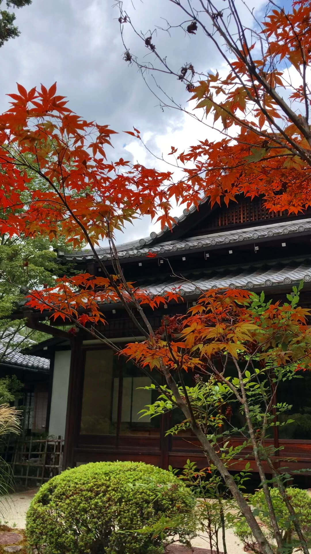 京都南禅寺天授庵的初秋