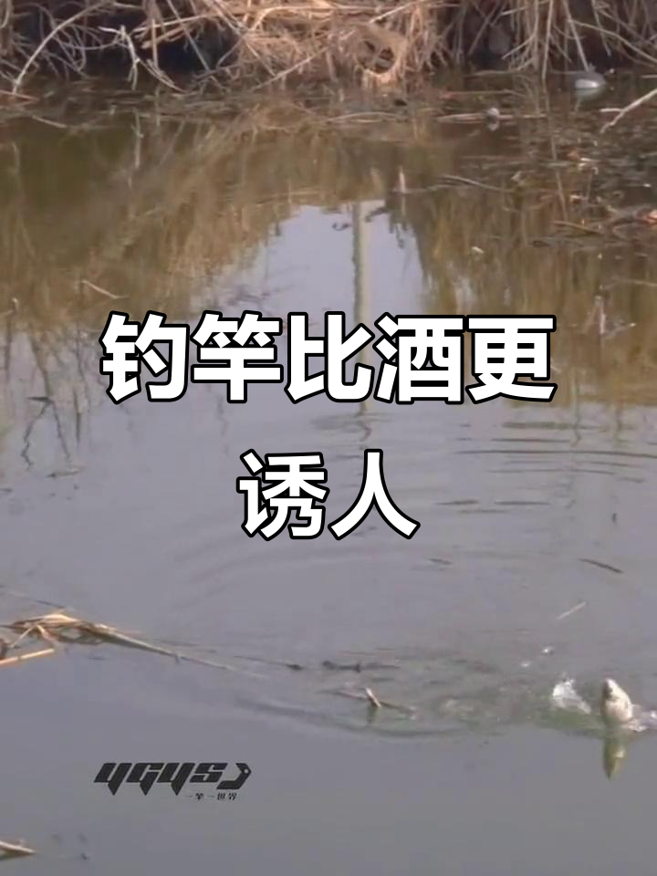 抖音鱼钓=抖音里面的钓鱼是什么意思