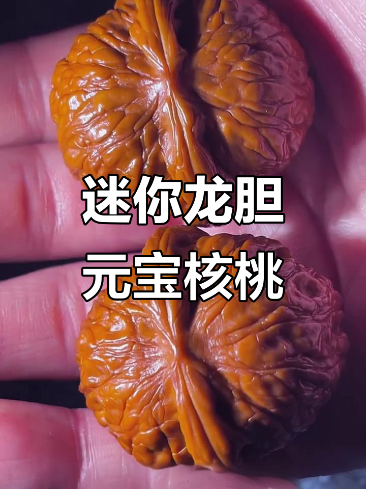 小巧玲珑的龙胆元宝核桃,四个月上色效果惊艳!