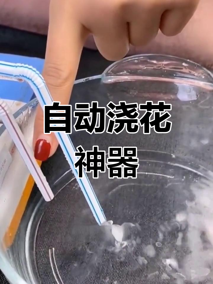 制作简易定时浇水装置