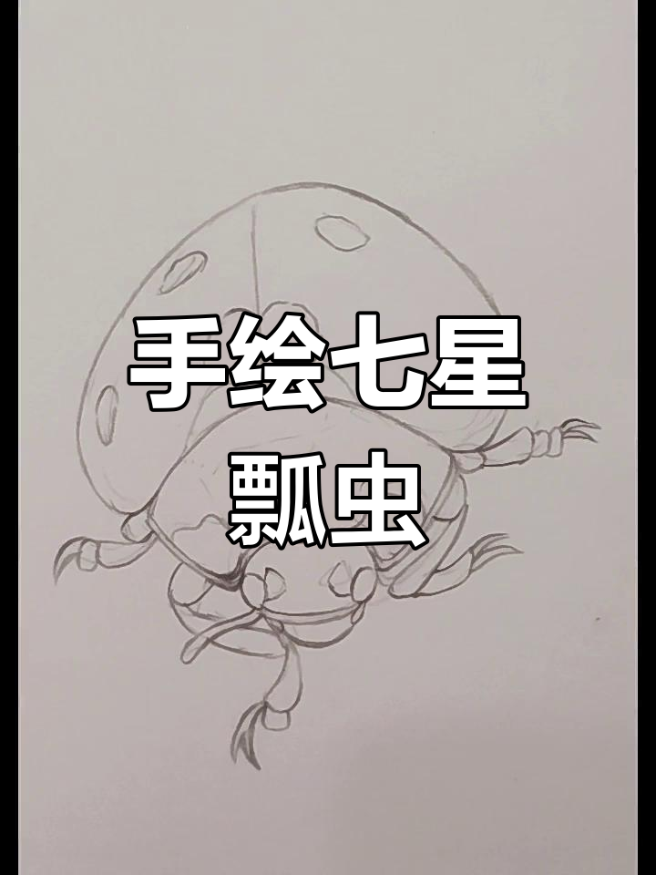 彩铅手绘七星瓢虫,步骤详解