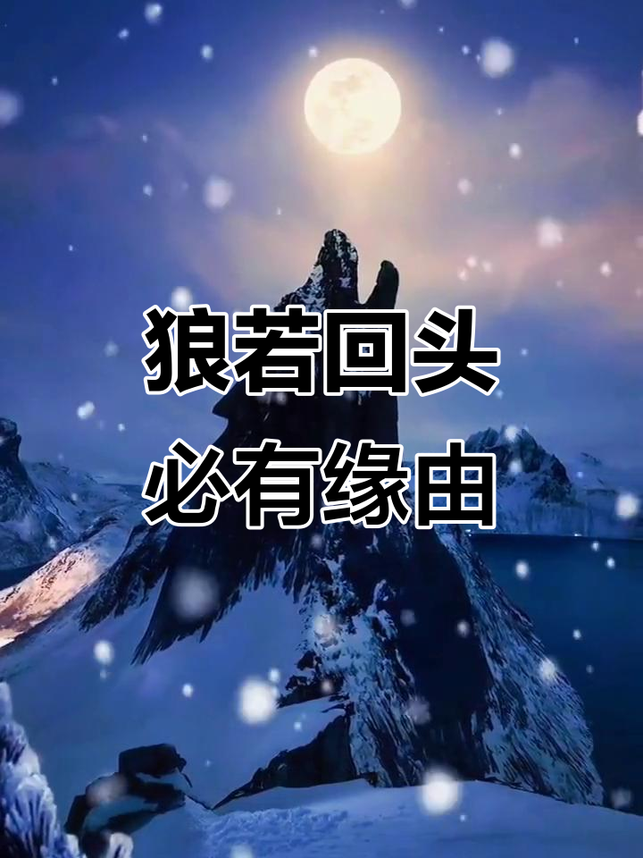狼回头必有原因,不是报恩就是报仇