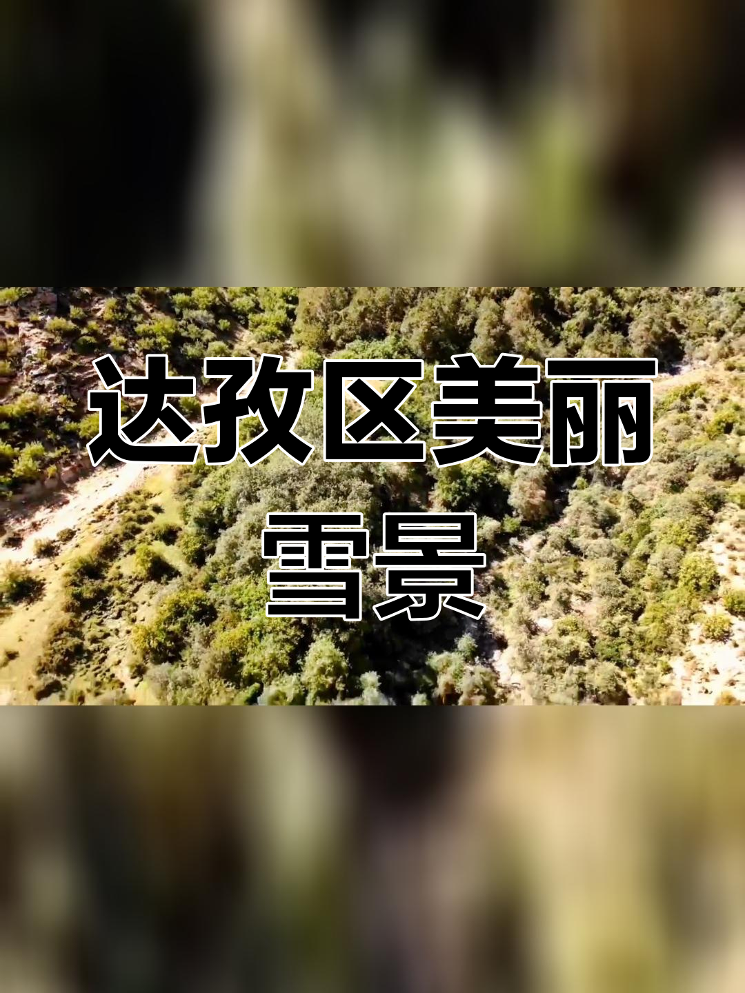 历届甘丹赤巴图片