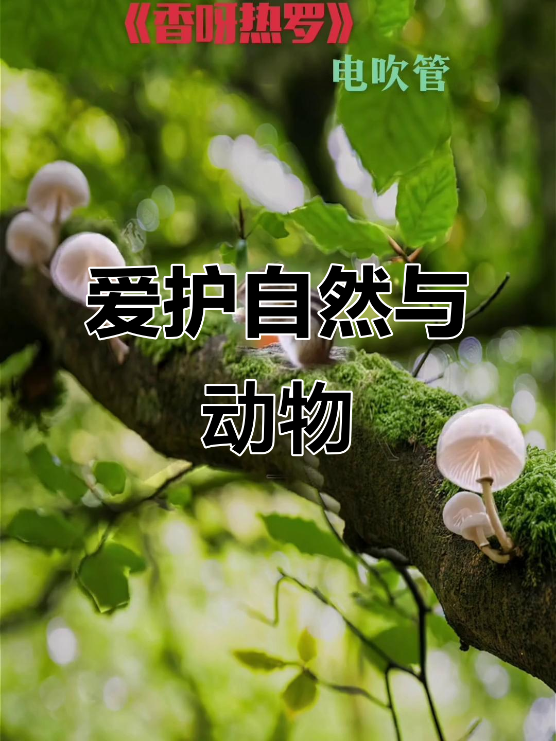 保护野生动物,守护大自然的美好