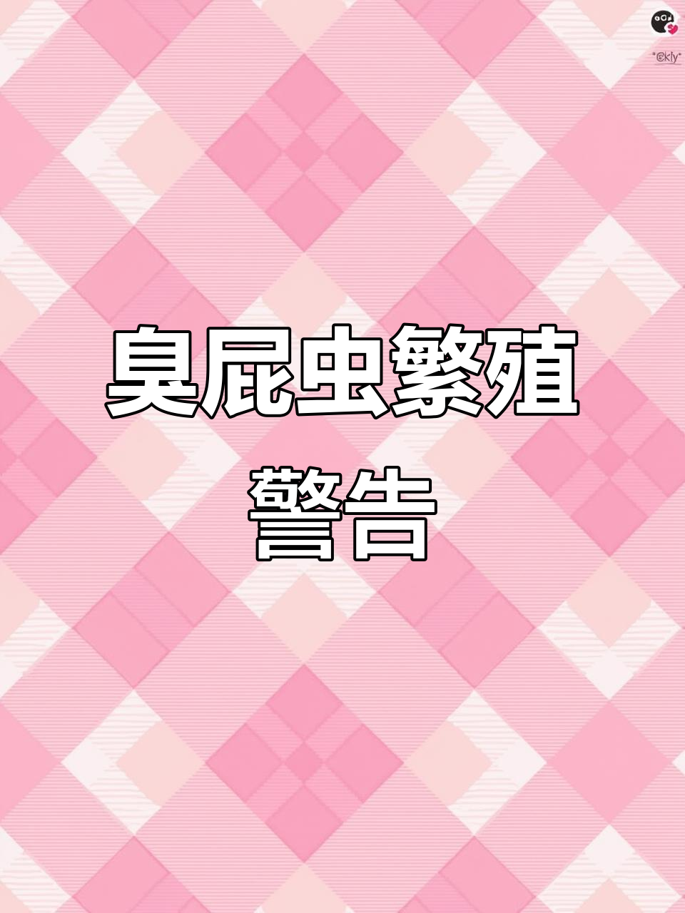 臭屁虫繁殖高峰,14颗一起出现,接触汁液有毒