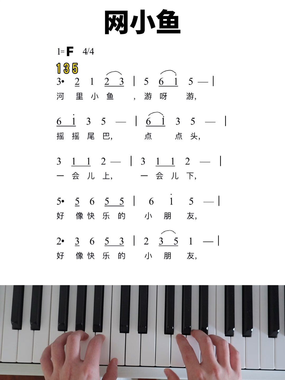 儿歌弹唱|网小鱼 f调
