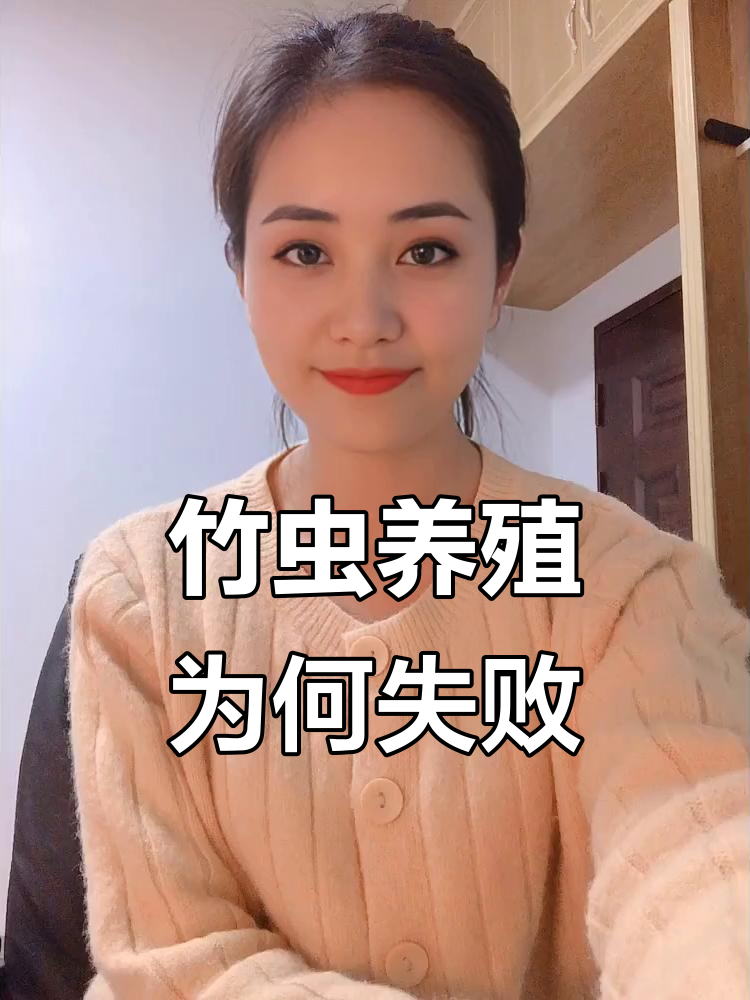 致富经养竹虫(致富经养殖视频大全)