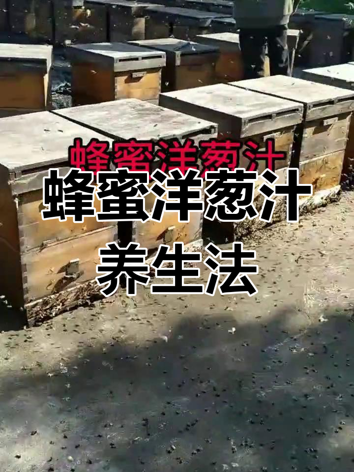 洋葱与蜂蜜功效与作用一样吗(洋葱和蜂蜜的功效)