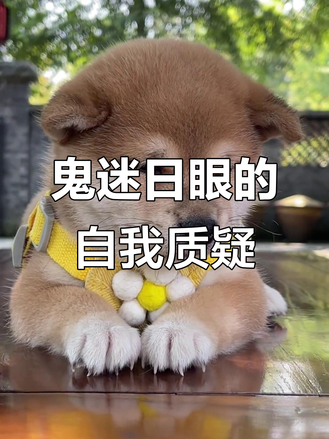 妈妈说我这种"鬼迷日眼"的人,你们真的会要吗?