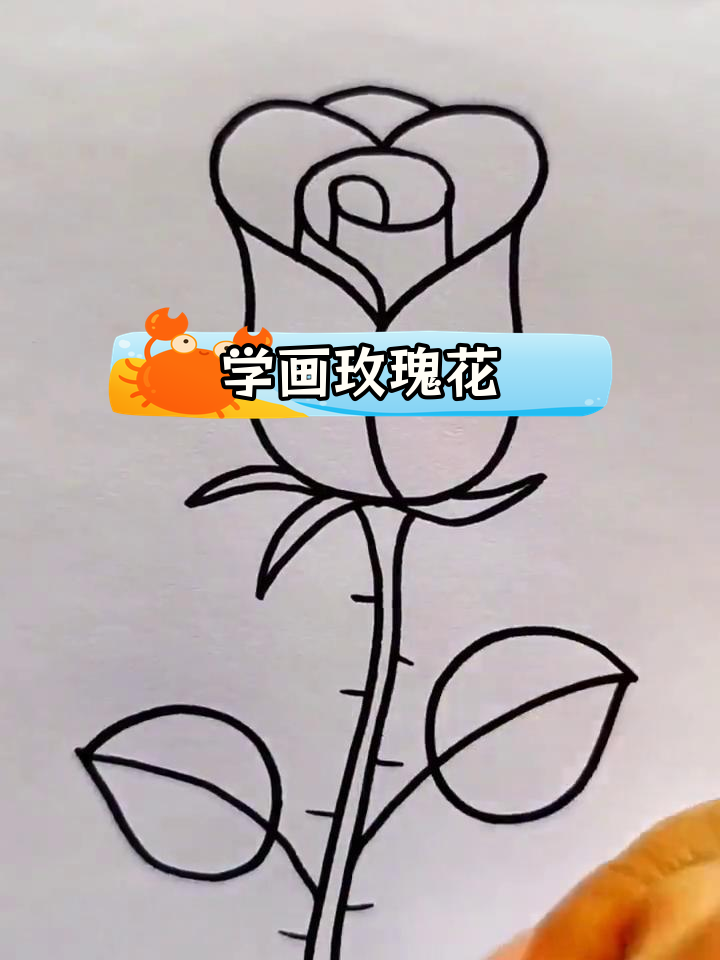 简单玫瑰花简笔画教程