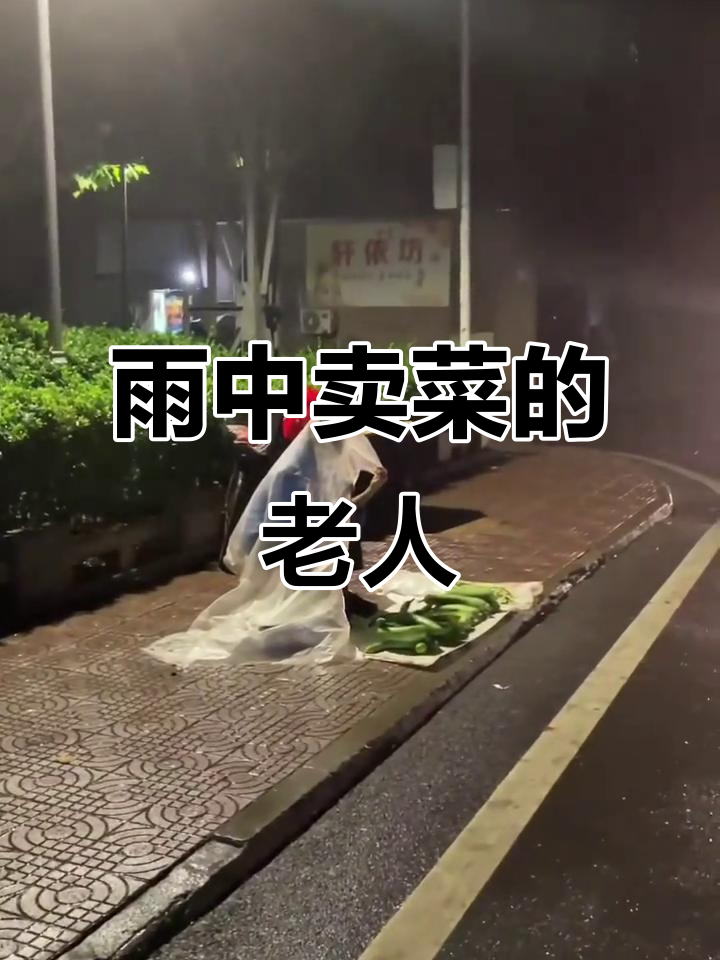 雨夜卖菜老人,生活不易的坚持