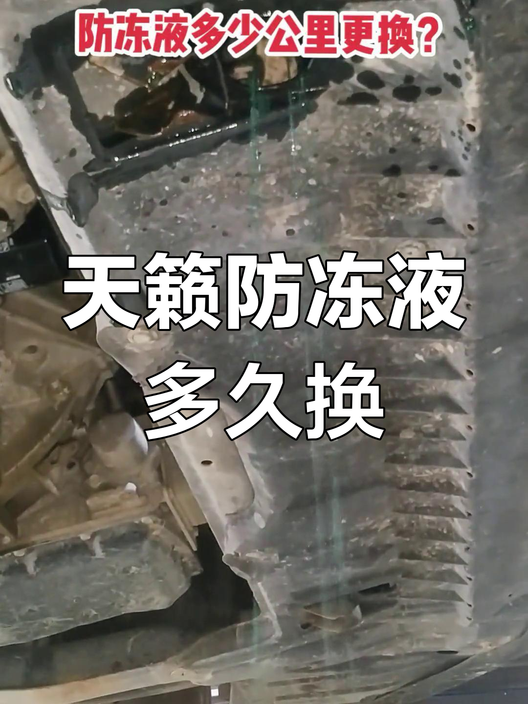 日产天籁防冻液更换时机解析