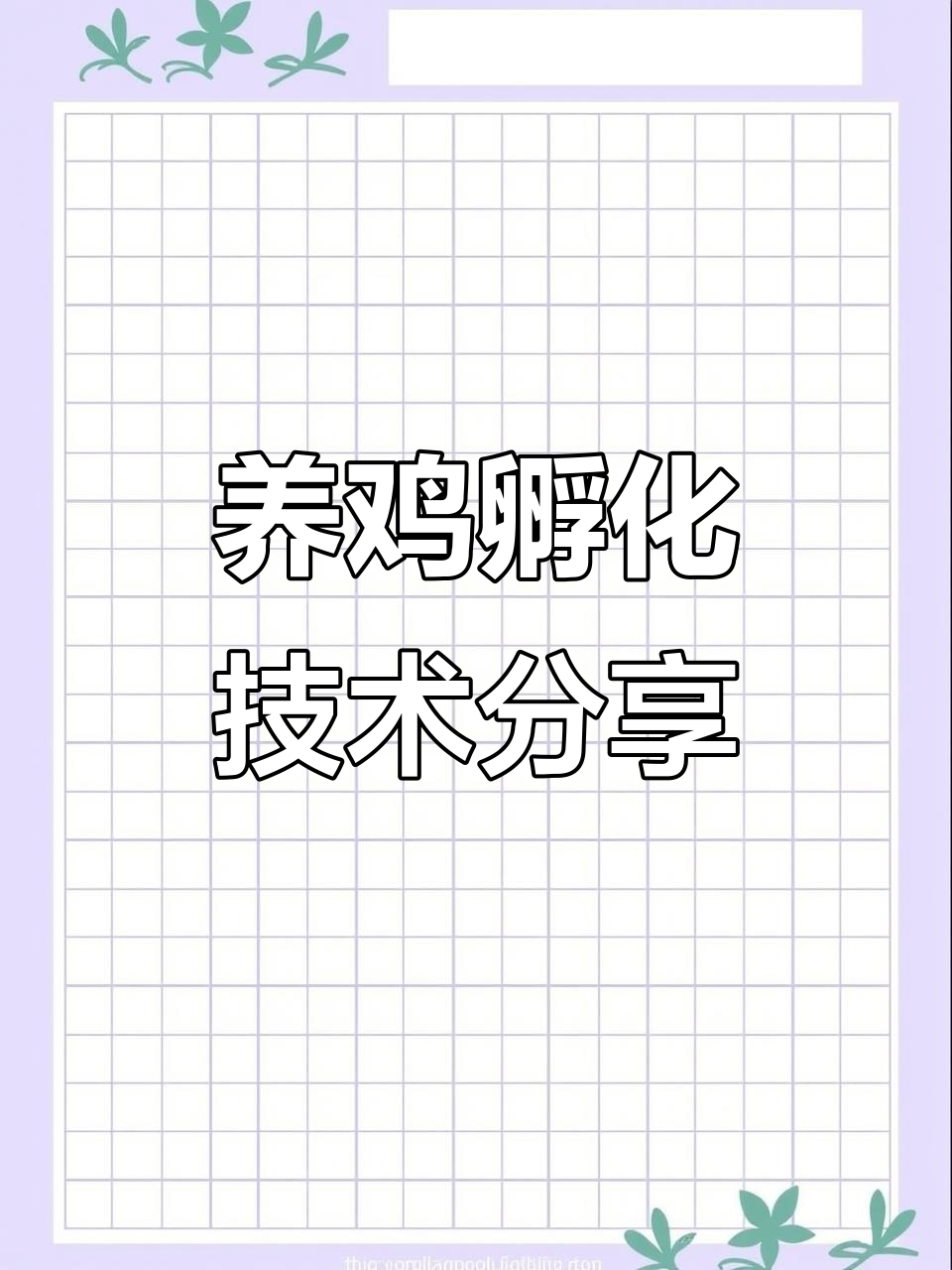 致富项目养鸡方案(农业致富好项目养鸡)