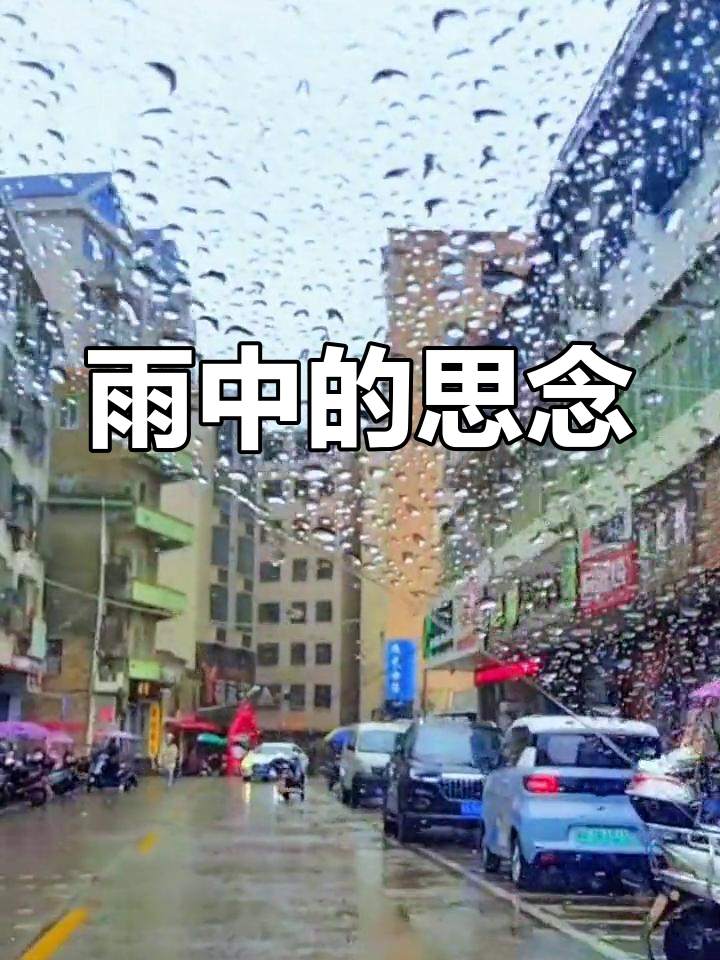 缅怀
的雨诗歌（缅怀
的雨什么意思）