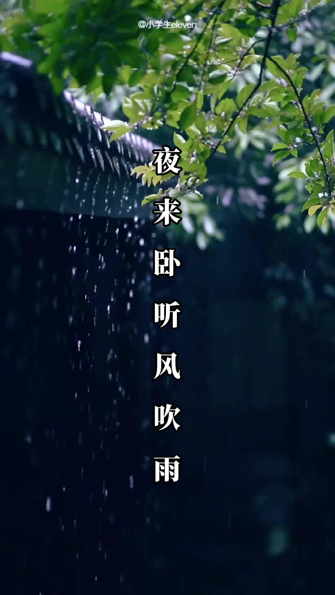 摄影 摄影约拍 人像写真 客片分享 听风听雨听人生