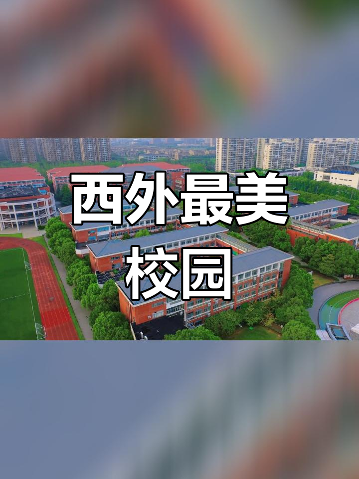 上海外国语大学航拍图片