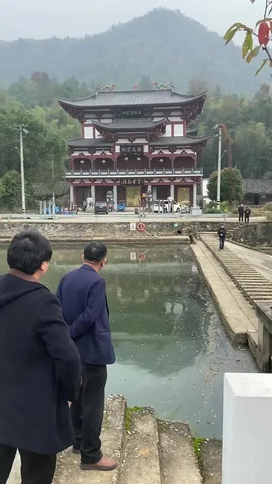 平阳水头附近的景点图片