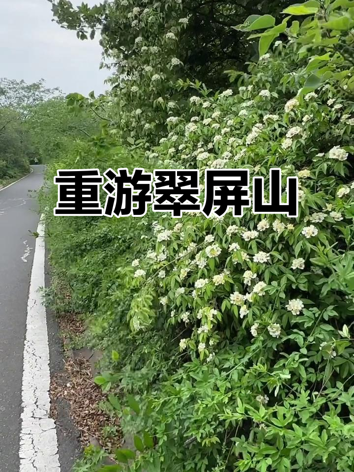 一年后重登翠屏山,感受大自然的魅力