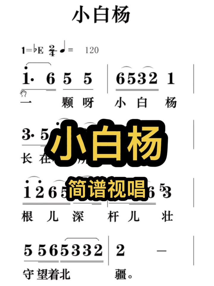 小白杨简谱!简谱识谱教学