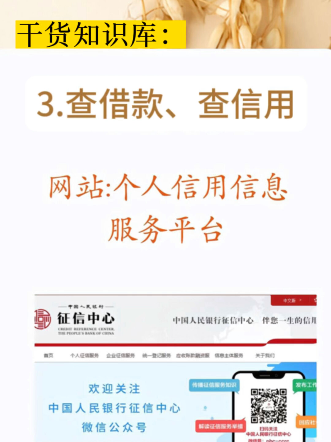 教你如何查询个人征信