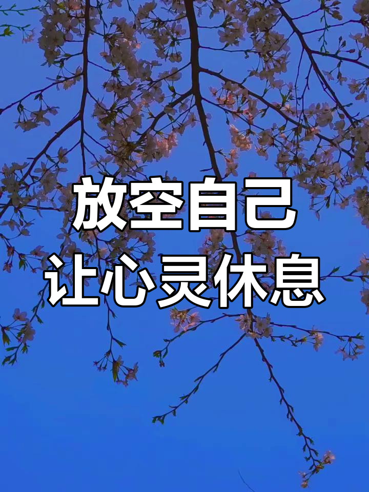 让大脑放空,享受片刻宁静与思绪的自由