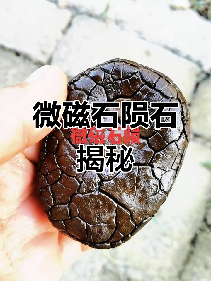 磁石的十大神奇功效_磁石作用与功效与作用点 磁石的十大神奇功效_磁石作用与功效与作用点（磁石的神奇功效和作用） 磁力资讯