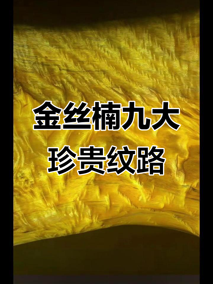 金丝楠木为什么那么贵