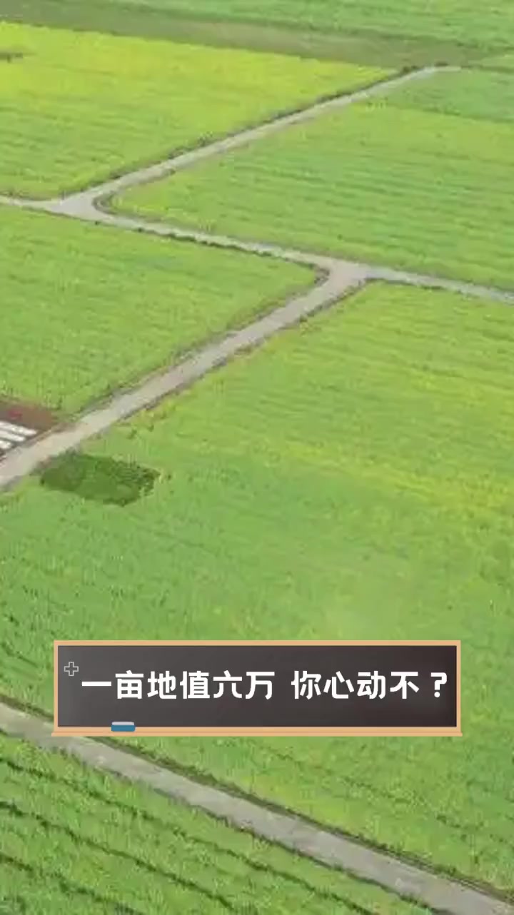 一亩地种啥挣钱(一亩地种什么效益高)