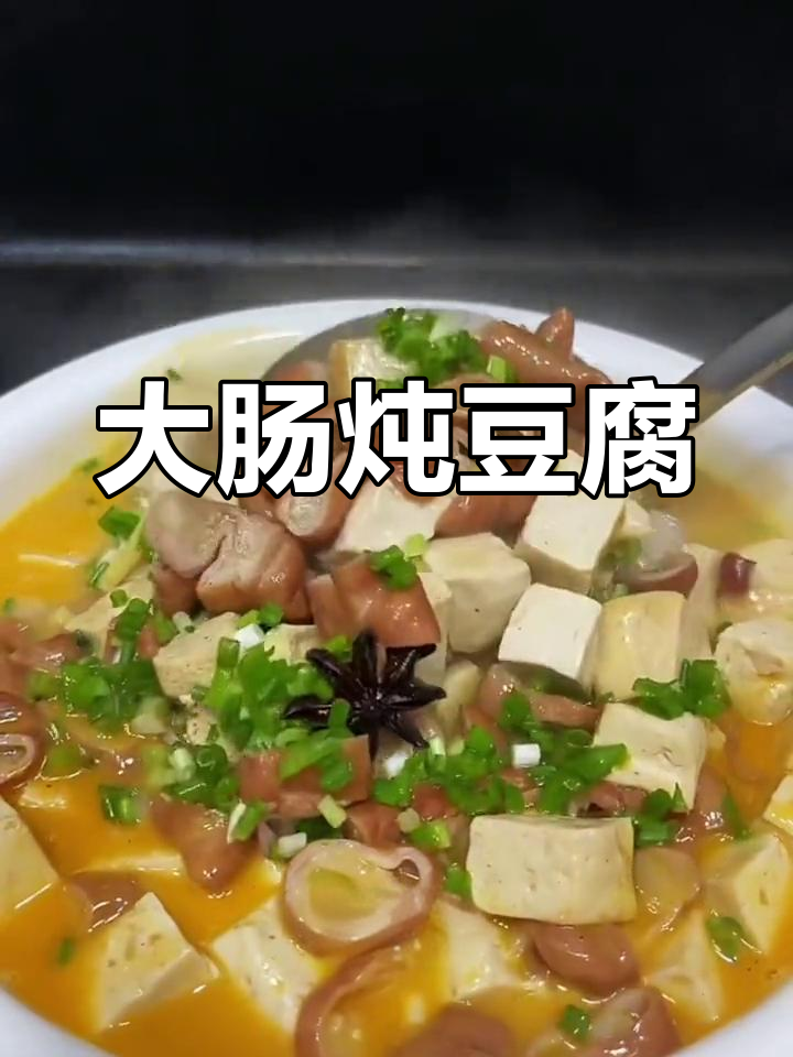春日暖心大肠炖豆腐,家常美味轻松做