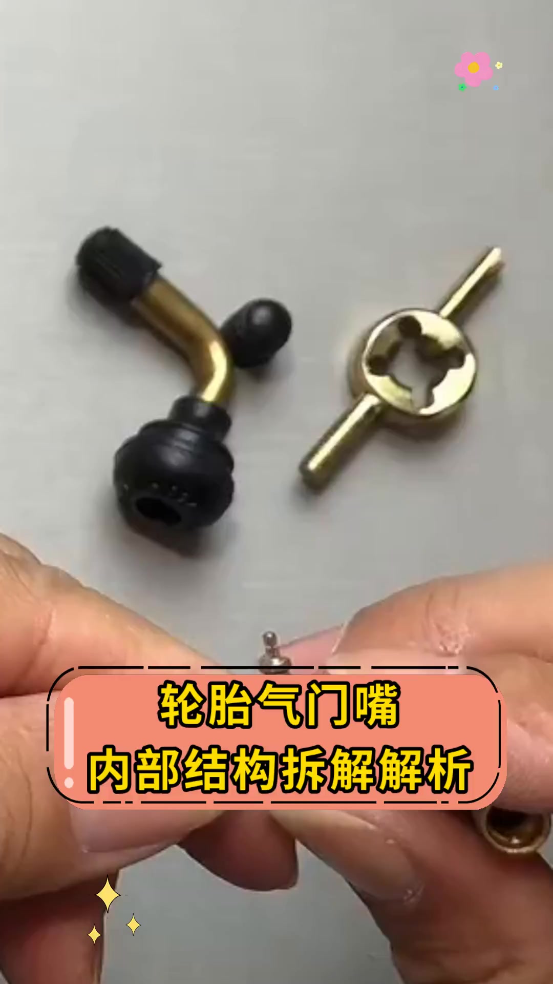 轮胎气门嘴 内部结构拆解解析