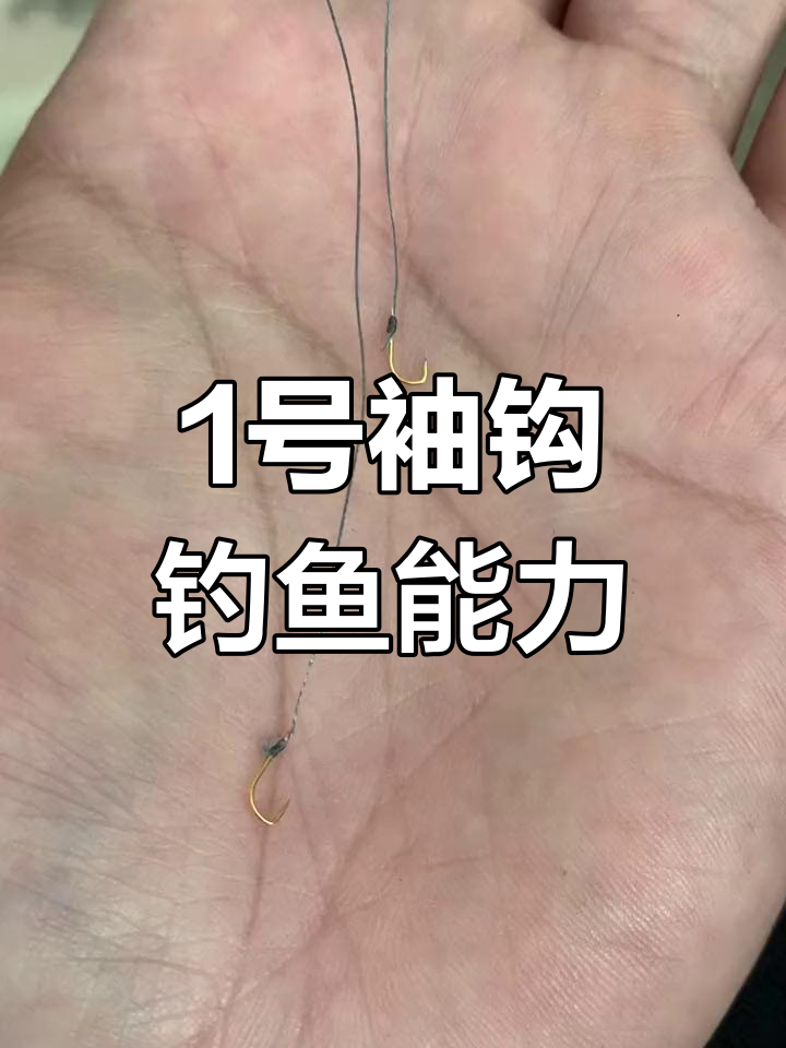 1号袖钩搭配0.2大力马,能钓多大的鱼?