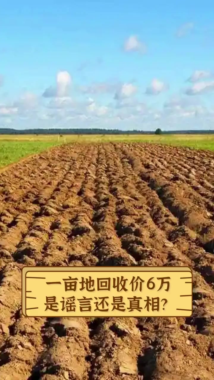 一亩地种什么挣1万(一亩地种什么可以收入3万)
