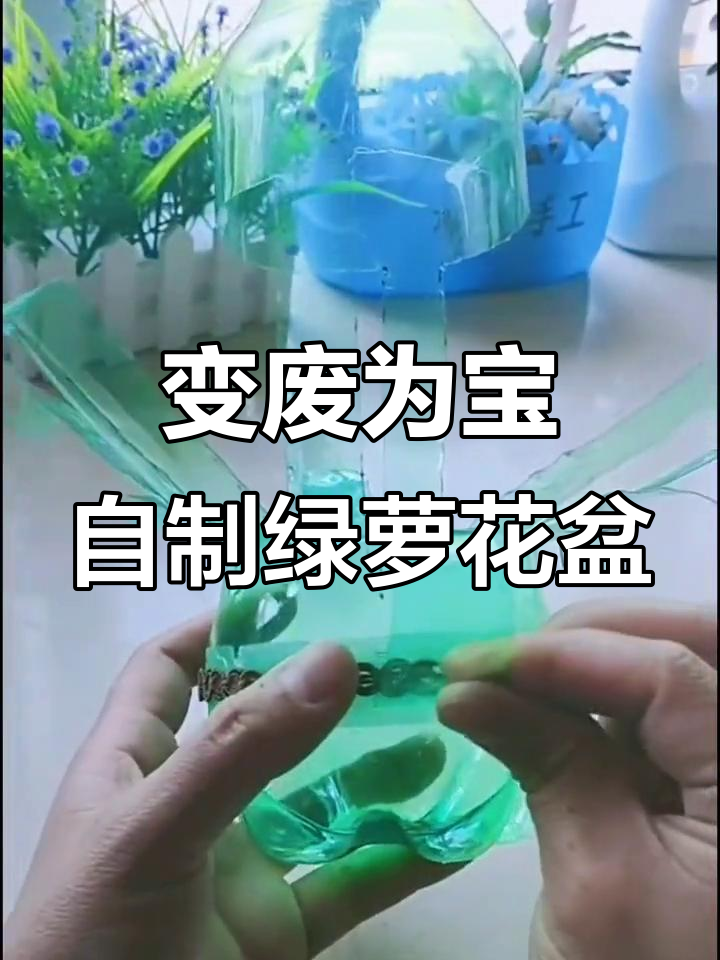 废旧雪碧瓶变身绿萝花盆,简单又美观